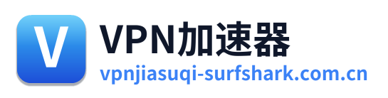 VPN加速器